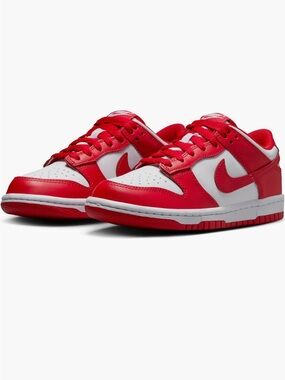 Nike Kids’ Dunk Low Basketball Sneaker